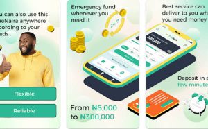 True Naira Loan App: Reviews, Apply, Signup, Login, Customer Care, Download Apk, Customer Care