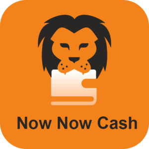 Nownow Money Loan App: Apply Now, Signup, Login, Customer Care, Reviews, Download Apk